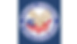 National Association of State Veterans Homes